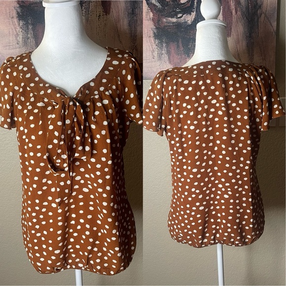 Brown & White Polka Dots Blouse - Picture 1 of 4
